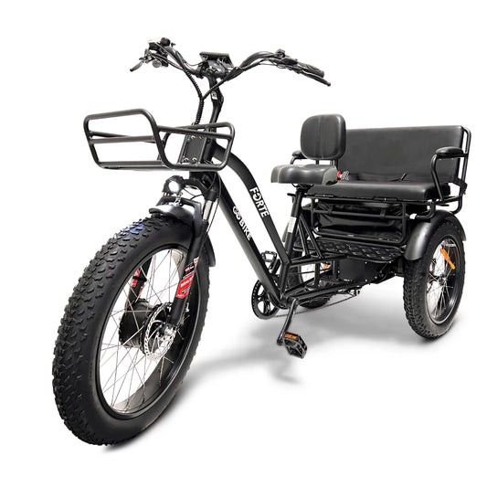 GoBike  FORTE Electric Tricycle with Rear Seat