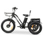GoBike FORTE Electric Tricycle