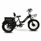 GoBike FORZA Electric Tricycle