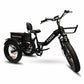 GoBike FORZA Electric Tricycle