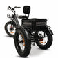 GoBike FORZA Electric Tricycle