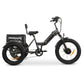 GoBike FORZA Electric Tricycle