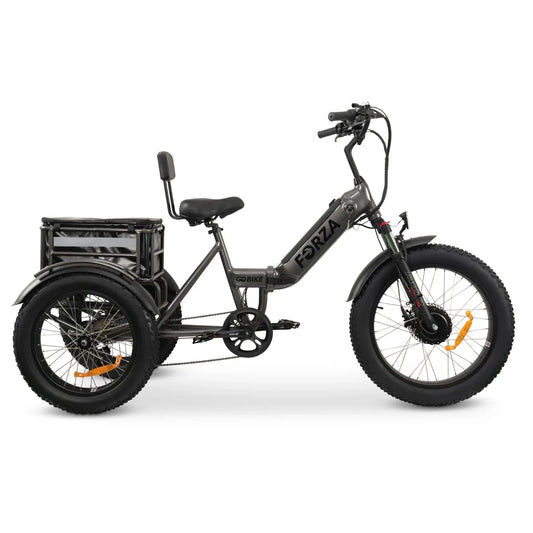 GoBike FORZA Electric Tricycle