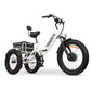 GoBike FORZA Electric Tricycle