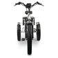 GoBike FORZA Electric Tricycle