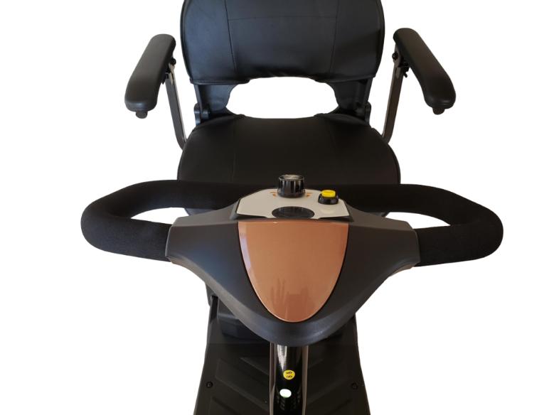 EV Rider MiniRider Lite
