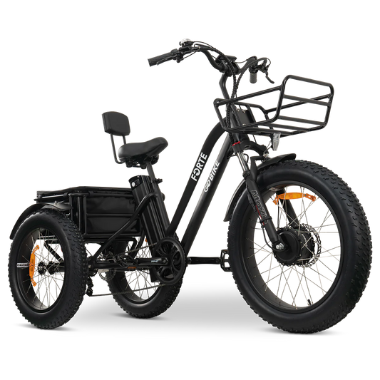 GoBike FORTE Electric Tricycle