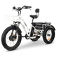 GoBike FORTE Electric Tricycle